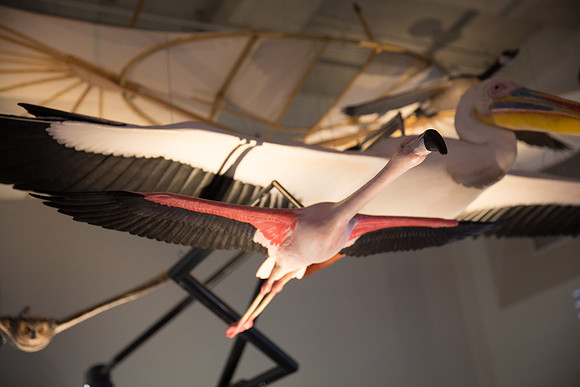 20170508_Science_Museum_9C7C5698