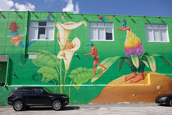 20161108_Wynwood_H5D2837