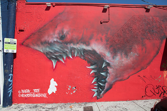 20161108_Wynwood_H5D2762