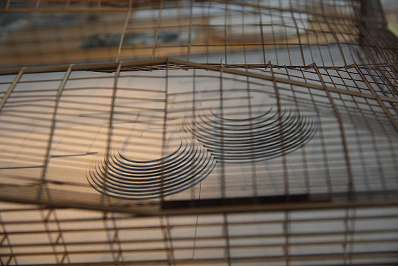 20141002_FIU_School_Architecture_Gallery_0027