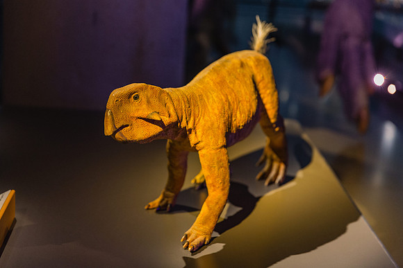 20170508_Science_Museum_9C7C5687
