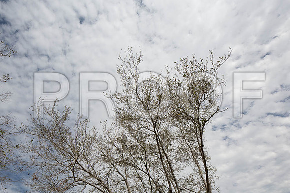 20140228_FIU_Nick_EXB_9C7C1543