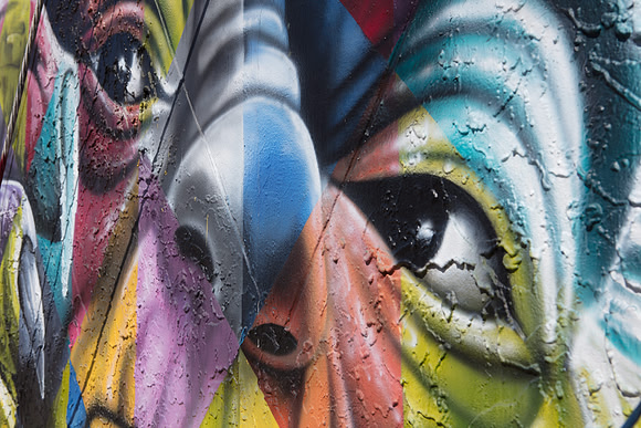 20161108_Wynwood_H5D2758