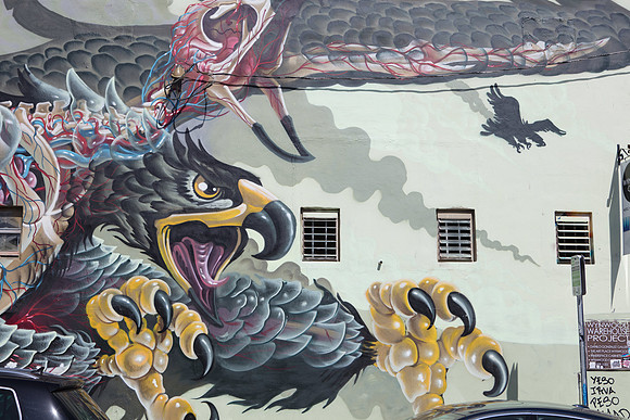 20161108_Wynwood_H5D2863