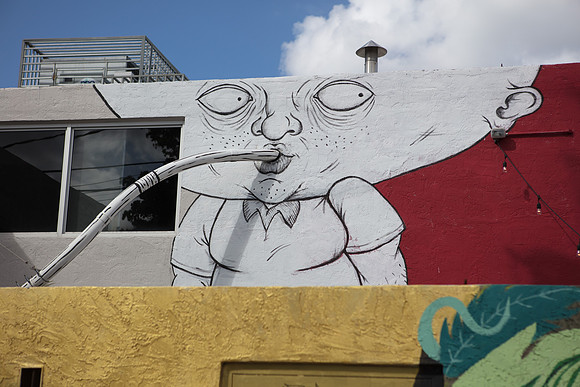 20161108_Wynwood_S5D3060
