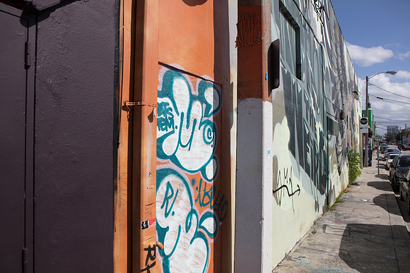 20161108_Wynwood_H5D2867