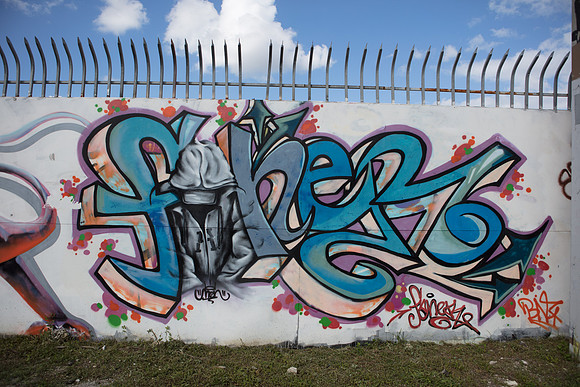 20161108_Wynwood_S5D3044