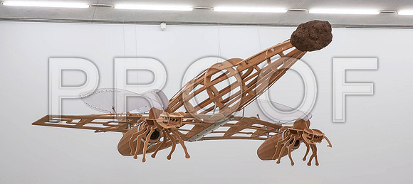 20140801_Pamm_9C7C8276