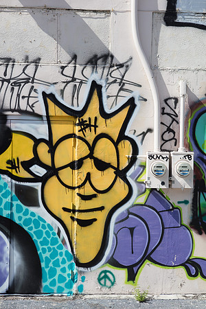 20161108_Wynwood_H5D2894