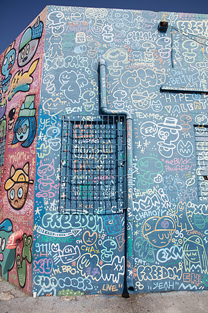20161108_Wynwood_H5D2800