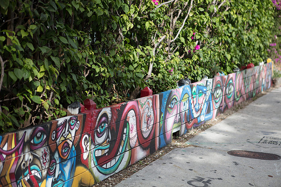 20161108_Wynwood_S5D3222