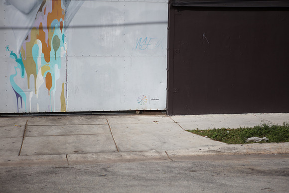 20161108_Wynwood_S5D3230