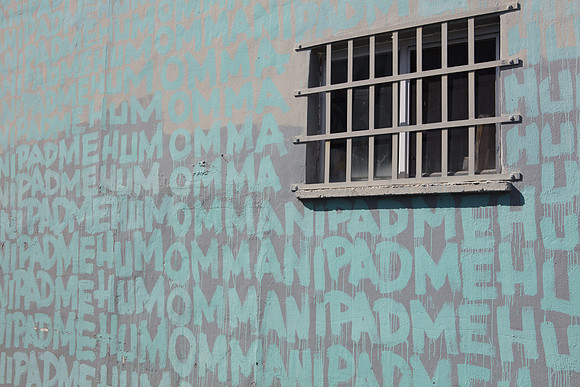 20161108_Wynwood_H5D2723