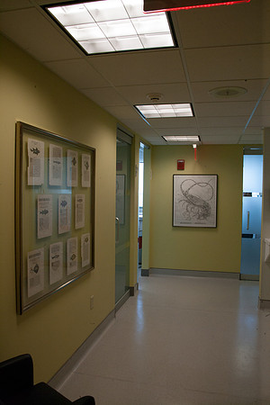 20120607_20040418_Jeff_Blum_Dental_Mount_Sinai_Miami_FL4995-2