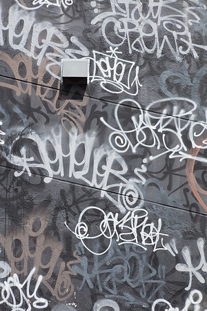20161108_Wynwood_H5D2902