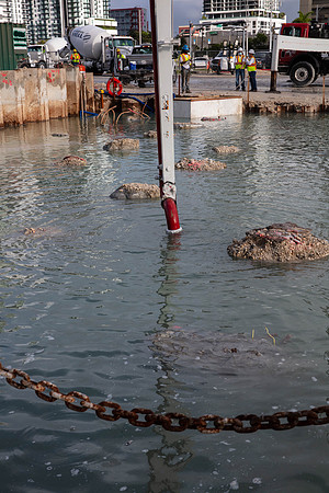 20201010_Connecting_Miami__MG_4895
