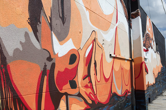 20161108_Wynwood_H5D2926