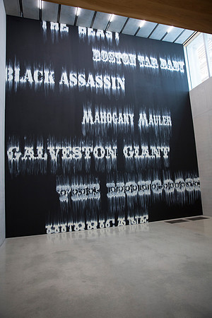20150530_Pamm_Exhibition_Linda_9C7C8037
