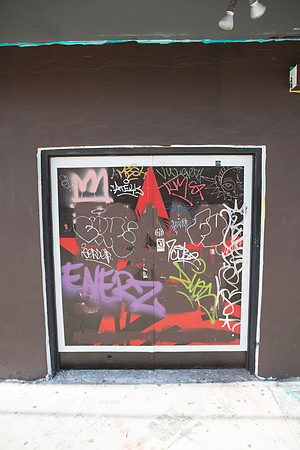 20161108_Wynwood_H5D2748