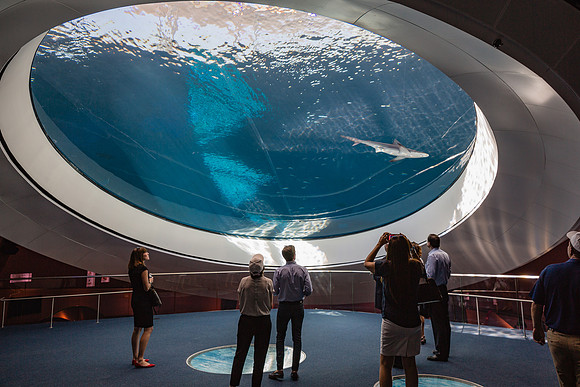 20170508_Science_Museum_9C7C5444