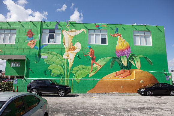 20161108_Wynwood_H5D2838