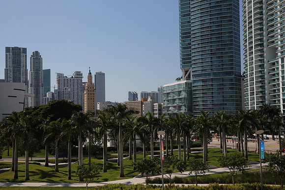 20151013_Miami_Landscape_IMG_1980