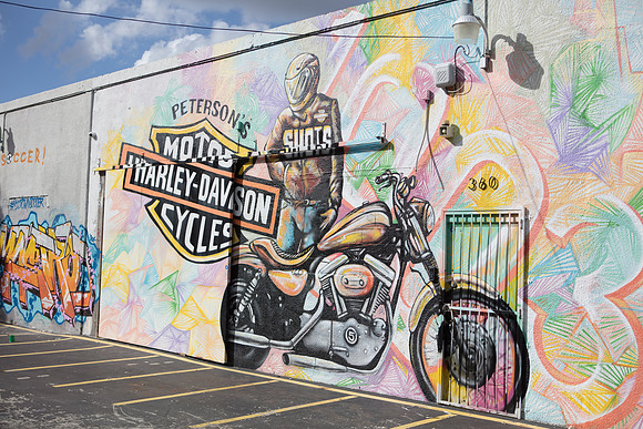 20161108_Wynwood_S5D3219