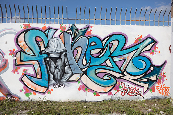 20161108_Wynwood_S5D3048