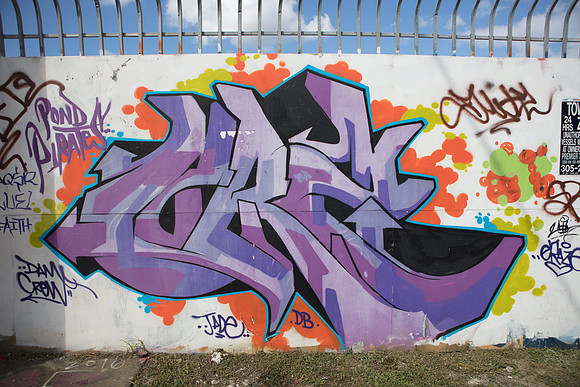 20161108_Wynwood_S5D3042
