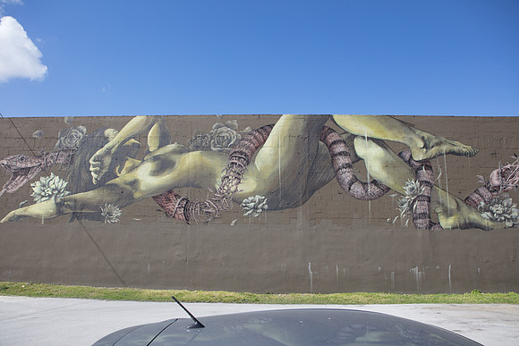 20161108_Wynwood_H5D2789
