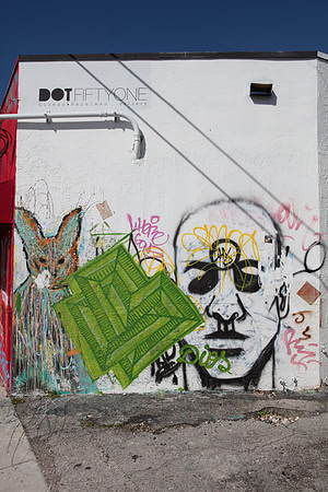 20161108_Wynwood_H5D2765
