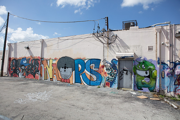 20161108_Wynwood_H5D2886