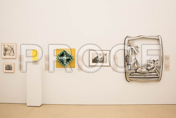 20140801_Pamm_9C7C8295