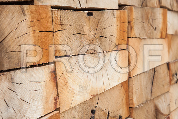 IMG_8774