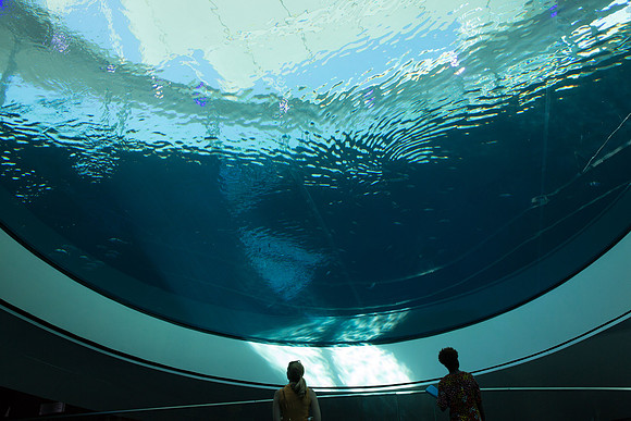 20170508_Science_Museum_9C7C5490