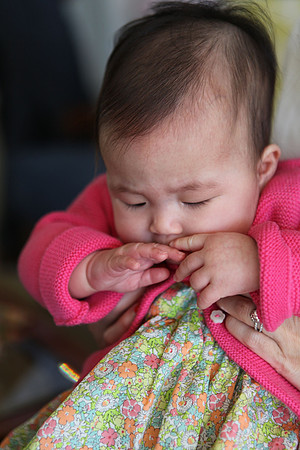 20141123_Rafi_Sharon_IMG_7351
