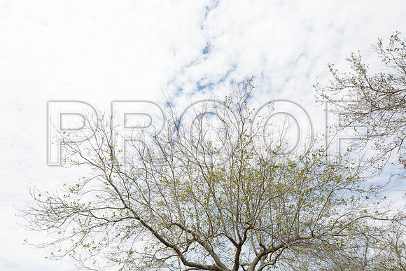 20140228_FIU_Nick_EXB_9C7C1547