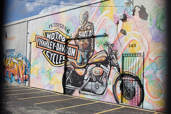 20161108_Wynwood_S5D3218
