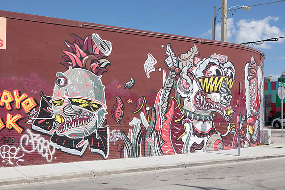20161108_Wynwood_H5D2833