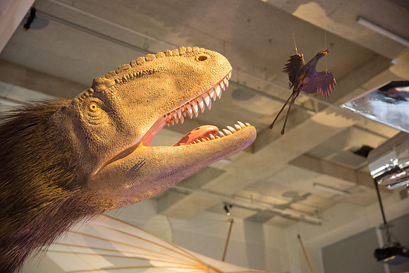 20170508_Science_Museum_9C7C5684