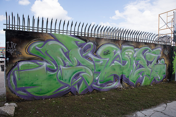 20161108_Wynwood_S5D3024
