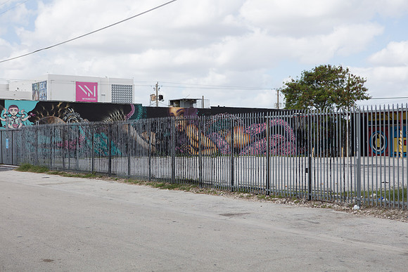20161108_Wynwood_H5D2937