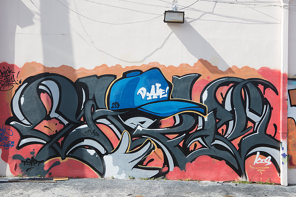 20161108_Wynwood_H5D2882