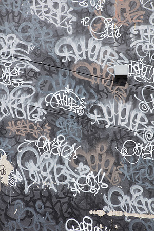 20161108_Wynwood_H5D2901
