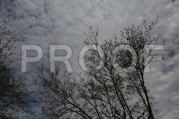 20140228_FIU_Nick_EXB_9C7C1538