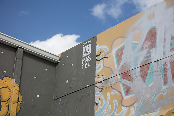 20161108_Wynwood_S5D3110