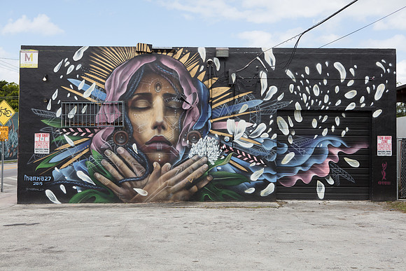20161108_Wynwood_H5D2961