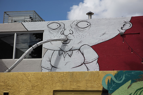 20161108_Wynwood_S5D3061