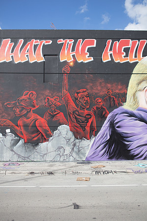 20161108_Wynwood_S5D3200