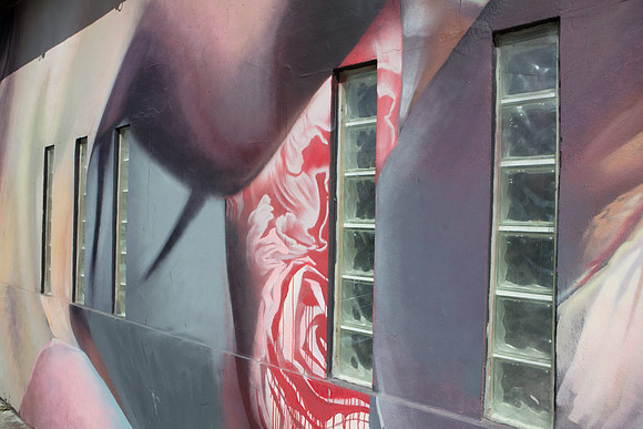 20161108_Wynwood_H5D2856